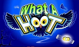 What A Hoot
