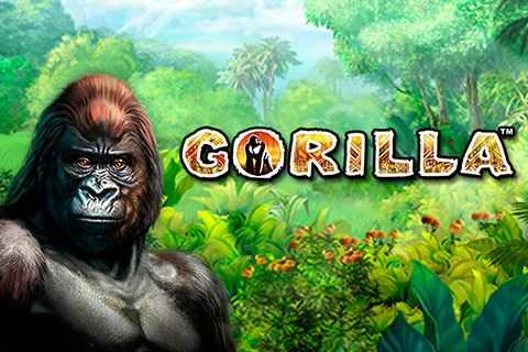 Gorilla